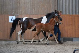 IMG-20220608-WA0001[1]