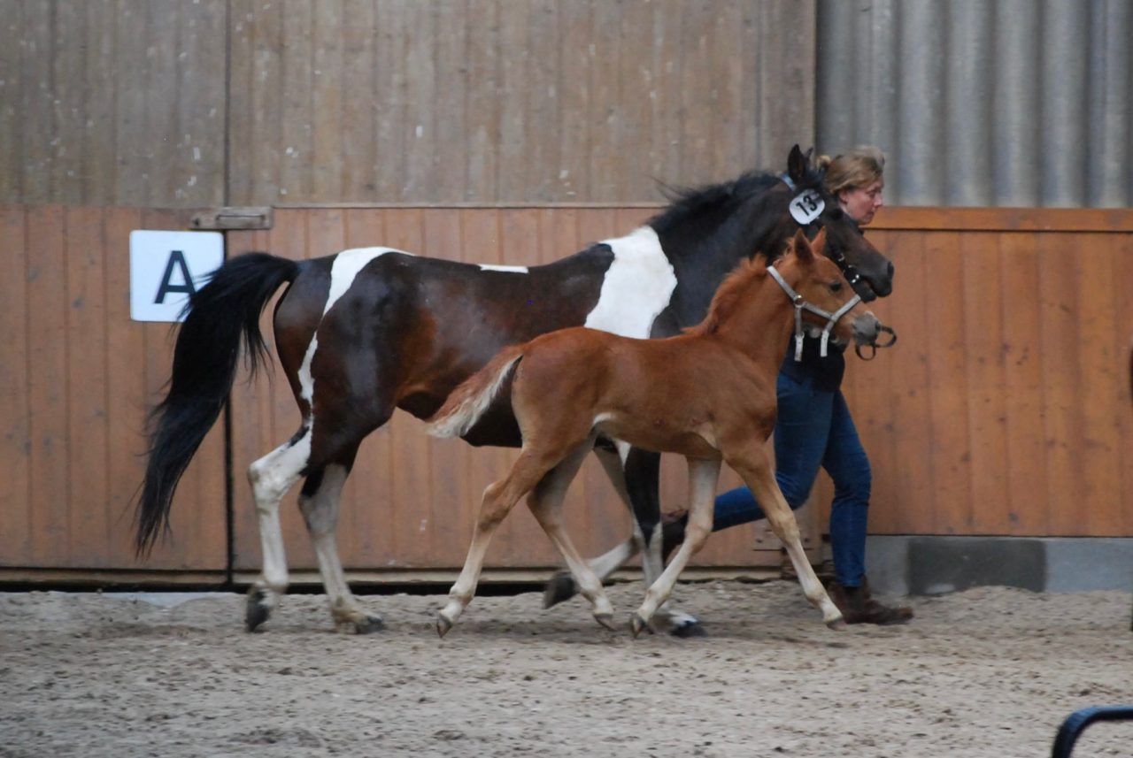 IMG-20220608-WA0001[1]