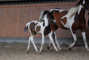 IMG-20220608-WA0002[1]